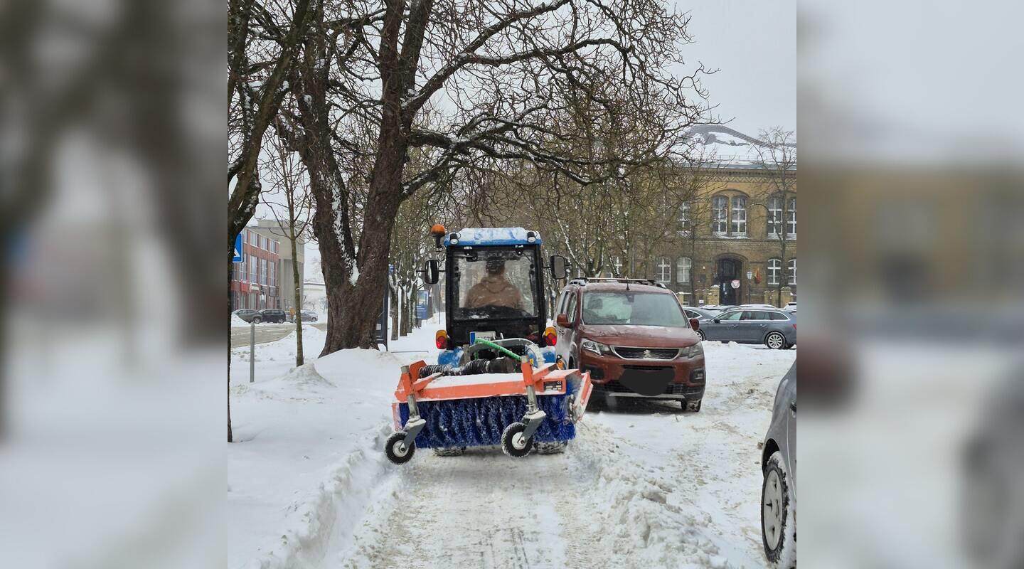 Nesėkmė: šįmet dėl sniego pėsčiųjų takuose buvo aibė skundų.