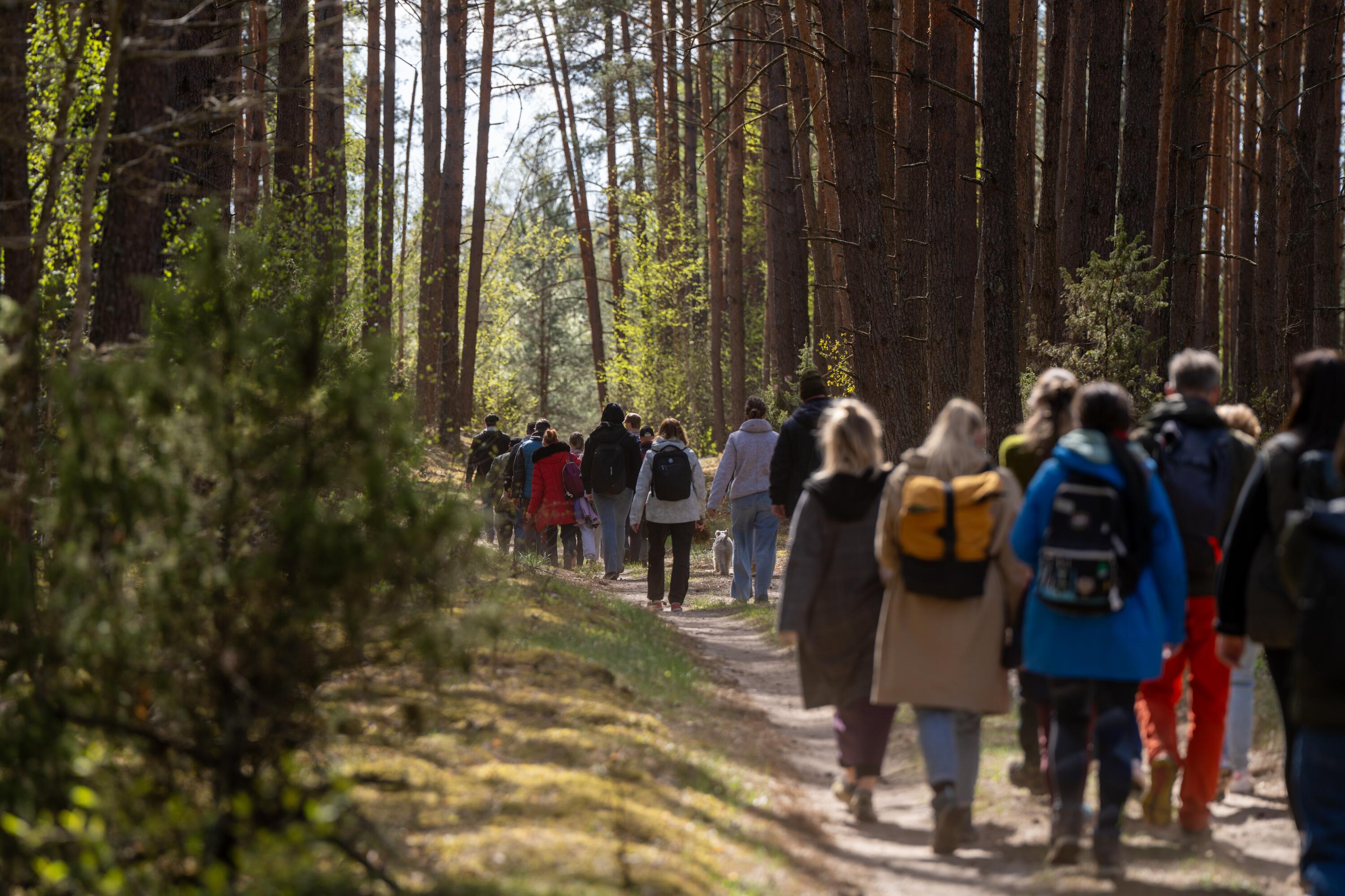 Gamtos festivalis „Vidur girių“