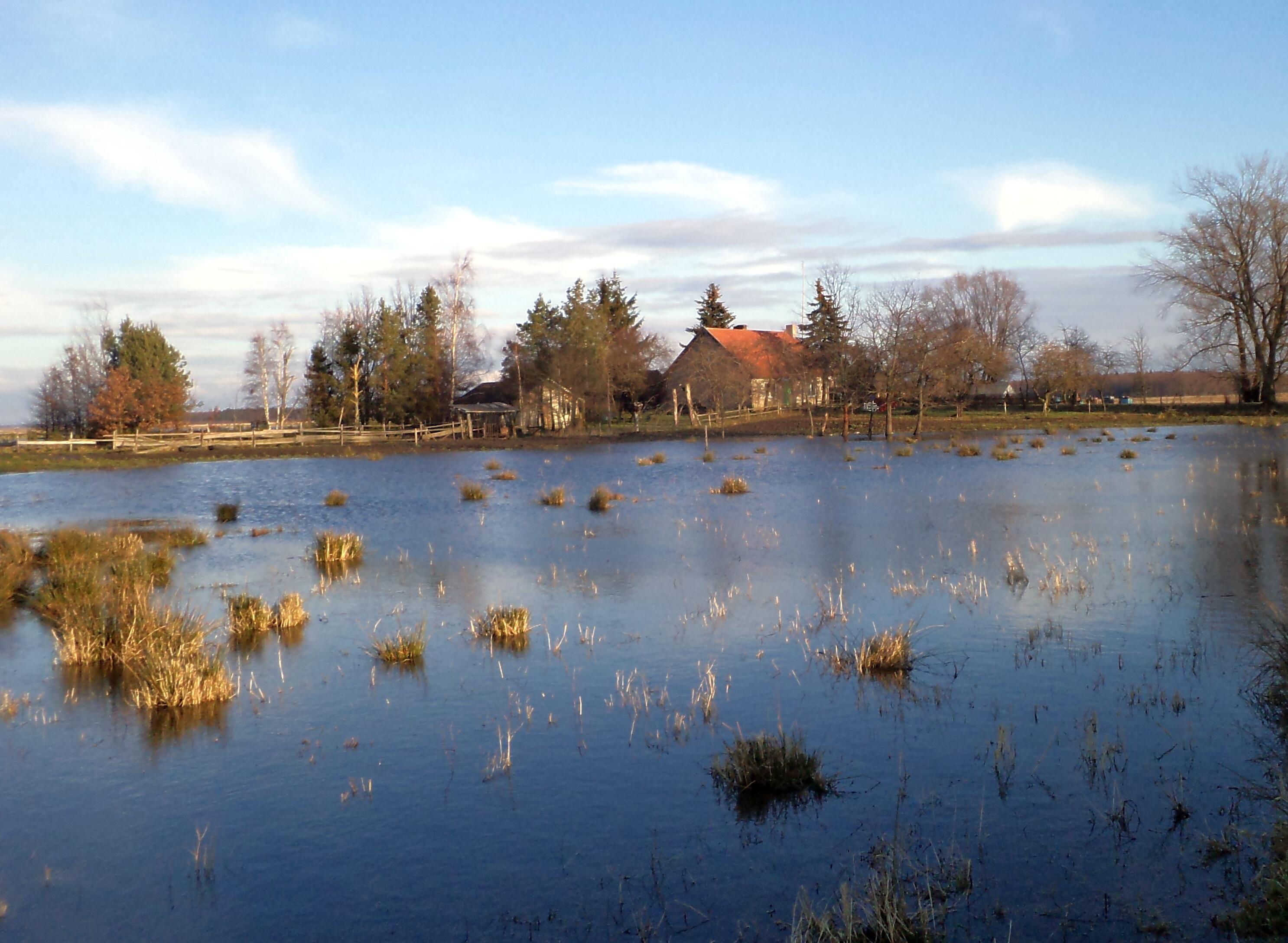 Išmokos: gyventojai, kurių sodybos patenka į potvynių rizikos teritorijas, draudimo kompanijoms gali mokėti įmokas, bet kompensacijų už potvynio sugadintą turtą neturėtų tikėtis.
