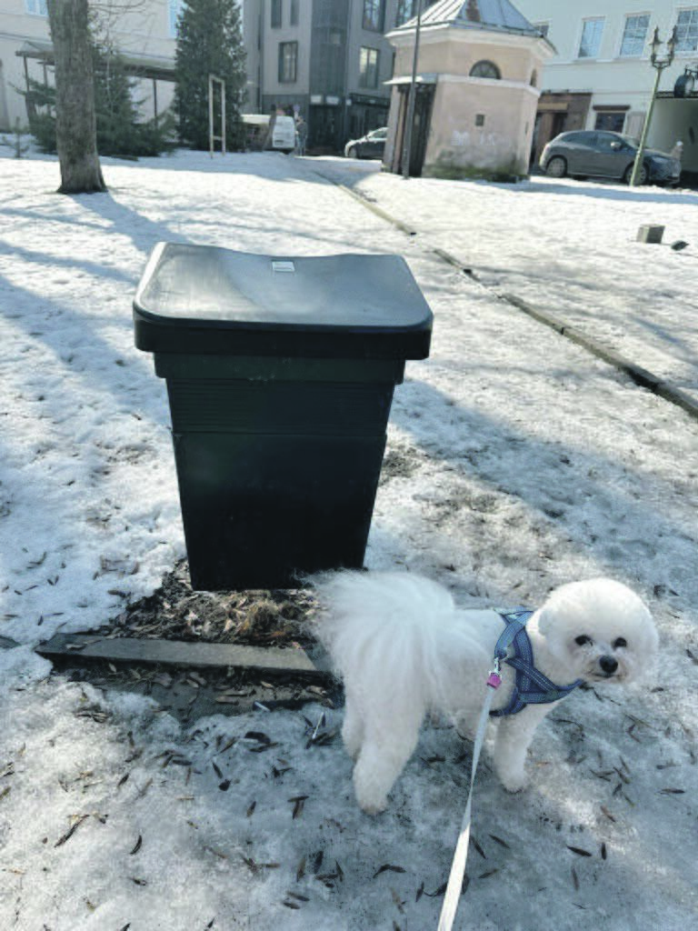 Pakanka: Kaune yra įrengta apie 670 šunų ekskrementams skirtų šiukšliadėžių (šunadėžių) ir miesto tvarkytojai sako, kad jų tiek pakaktų, jei jos būtų naudojamos pagal paskirtį. 