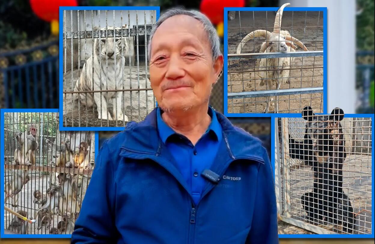 Šeimininkas: kalnuose įsikūrusį zoologijos sodą prižiūri vos vienas žmogus – 70-metis buvęs vidurinės mokyklos direktorius Feng Yuanyongas.