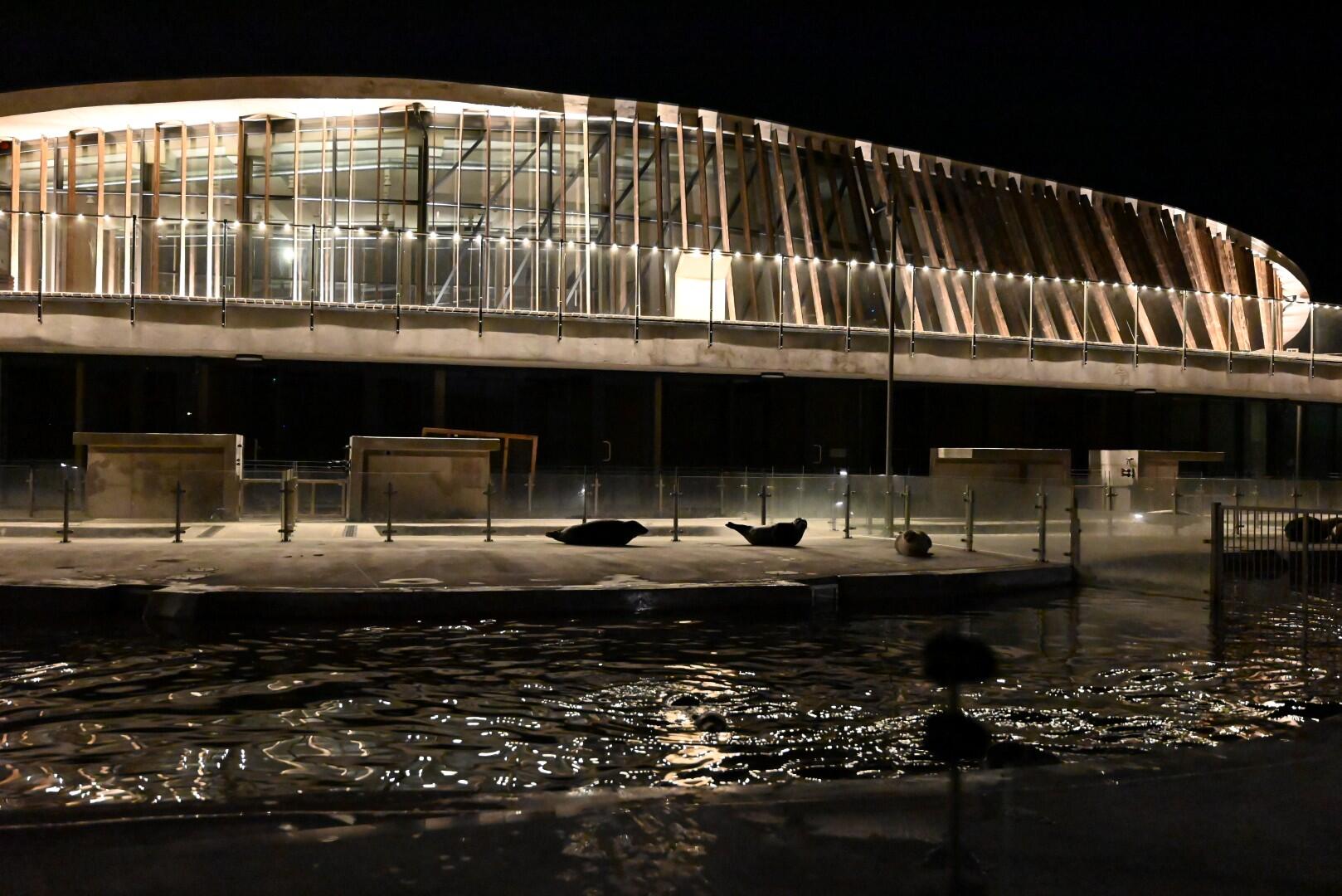 Baltijos jūros gyvūnų reabilitacijos centras