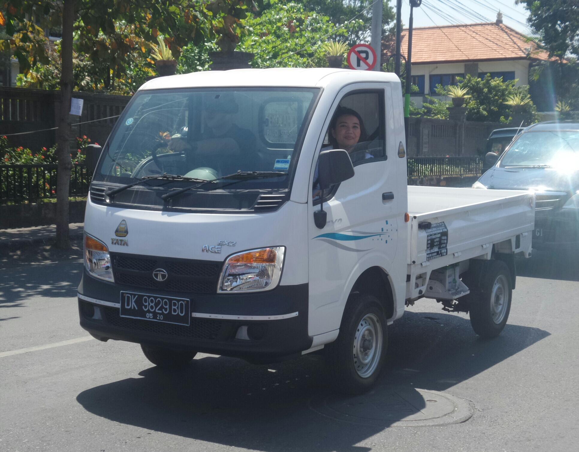 Netikėta: Lietuvoje mažai žinoma indiška „Tata“ per metus parduoda transporto priemonių už 42 mlrd. dolerių.