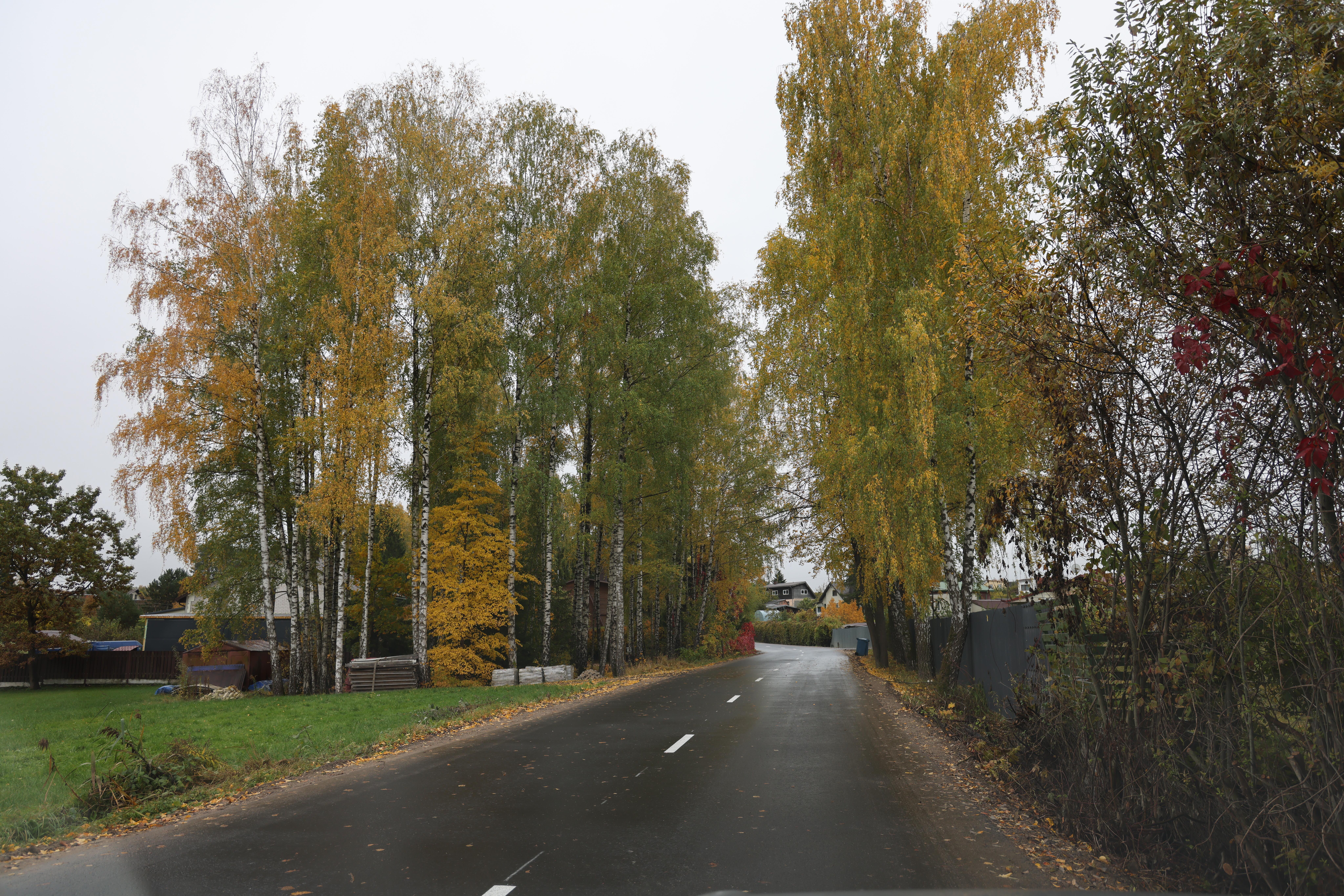 Rūpestis: pagrindiniai programos tikslai – gerinti gyvenimo kokybę sodininkų bendrijose, modernizuoti infrastruktūrą ir sudaryti sąlygas saugesniam ir patogesniam susisiekimui.