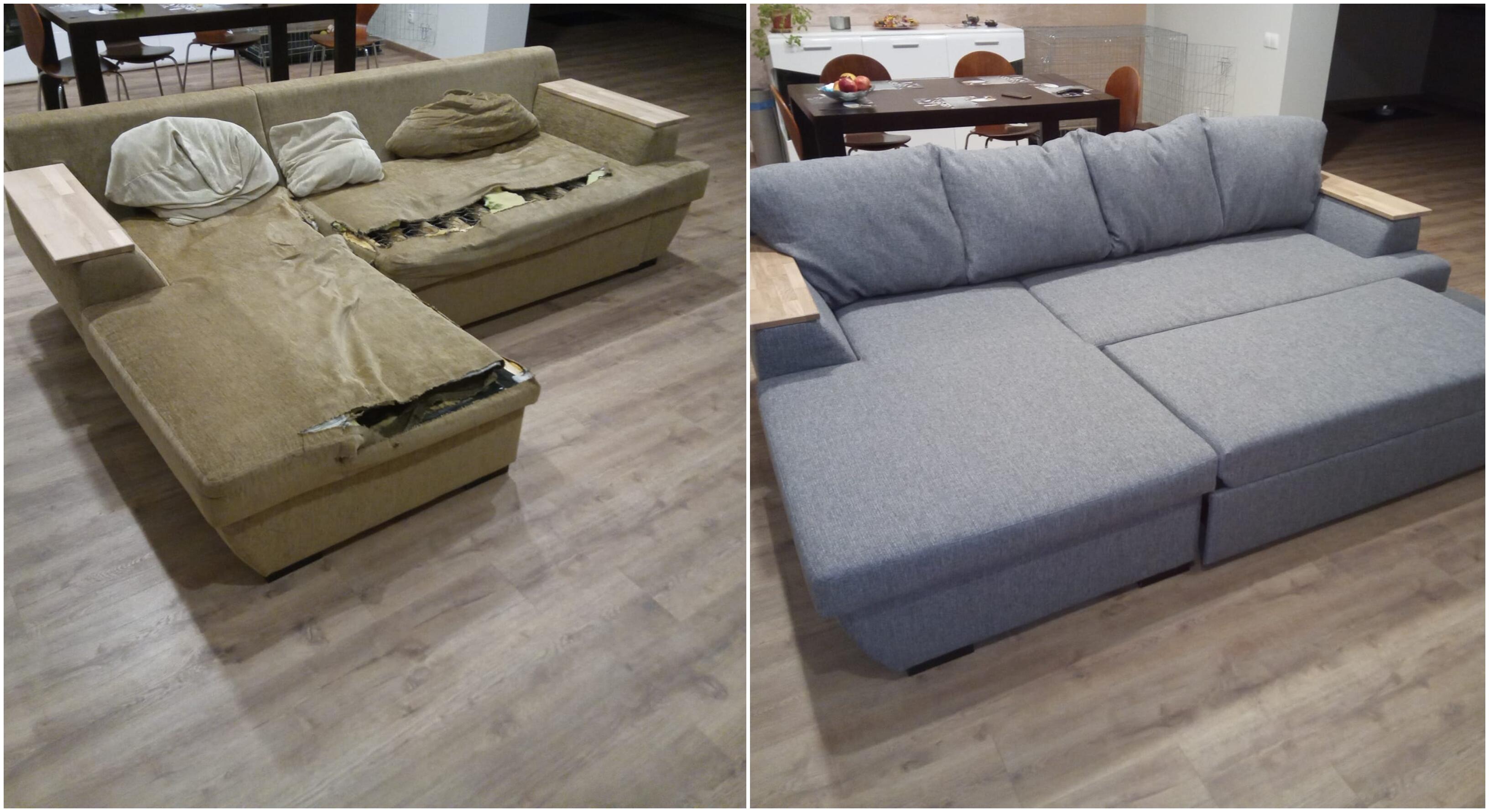 Abra kadabra: šuniukų apkramtyta sofa vėl atrodo kaip nauja – prieš ir po.