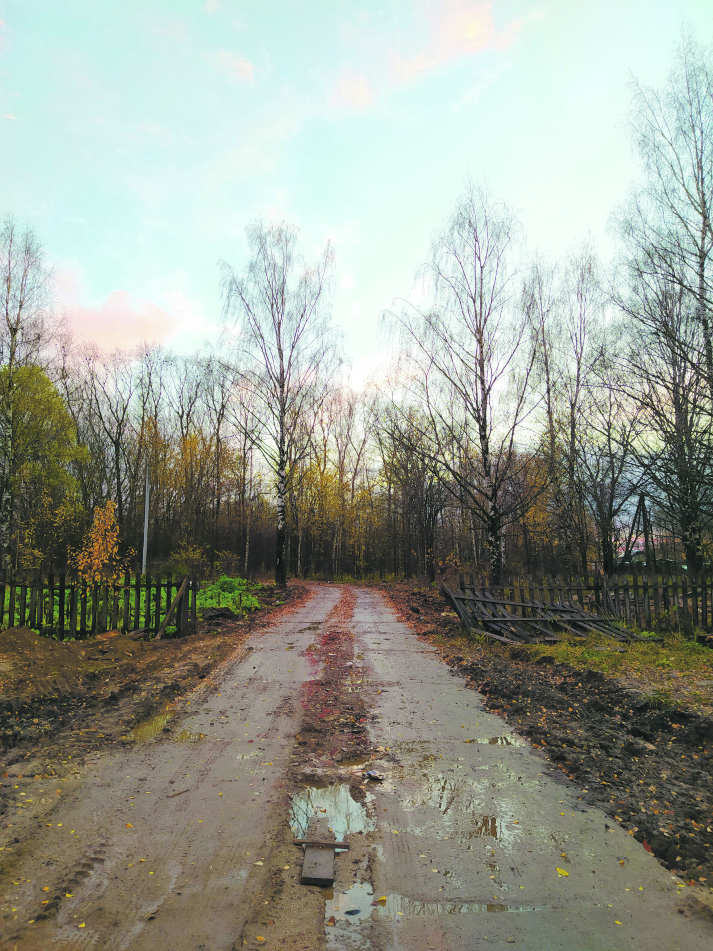 Sąlyga: labai svarbu pagerinti ir išplėtoti kaimo infrastruktūrą, kad jaunoms šeimoms kaimas taptų patrauklesnis.