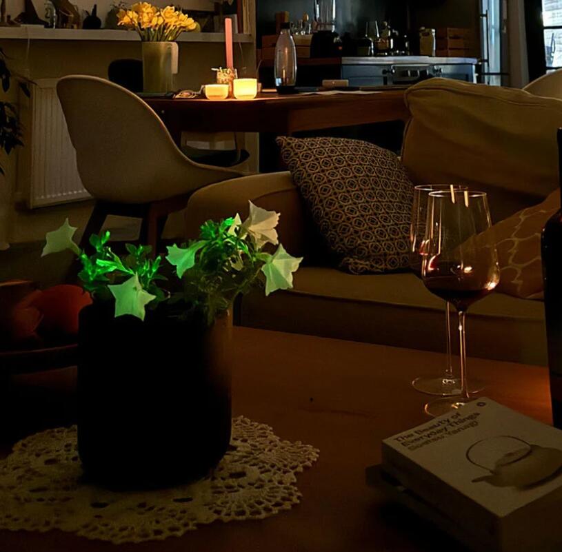 Virsmas: genetiškai modifikuota petunija skliedžia žalsvą šviesą.