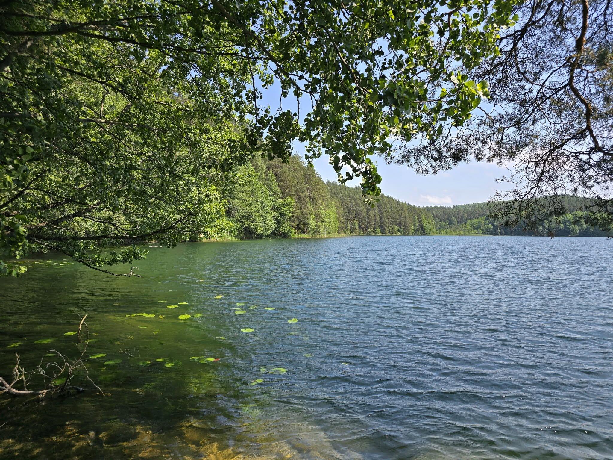 Ignalina