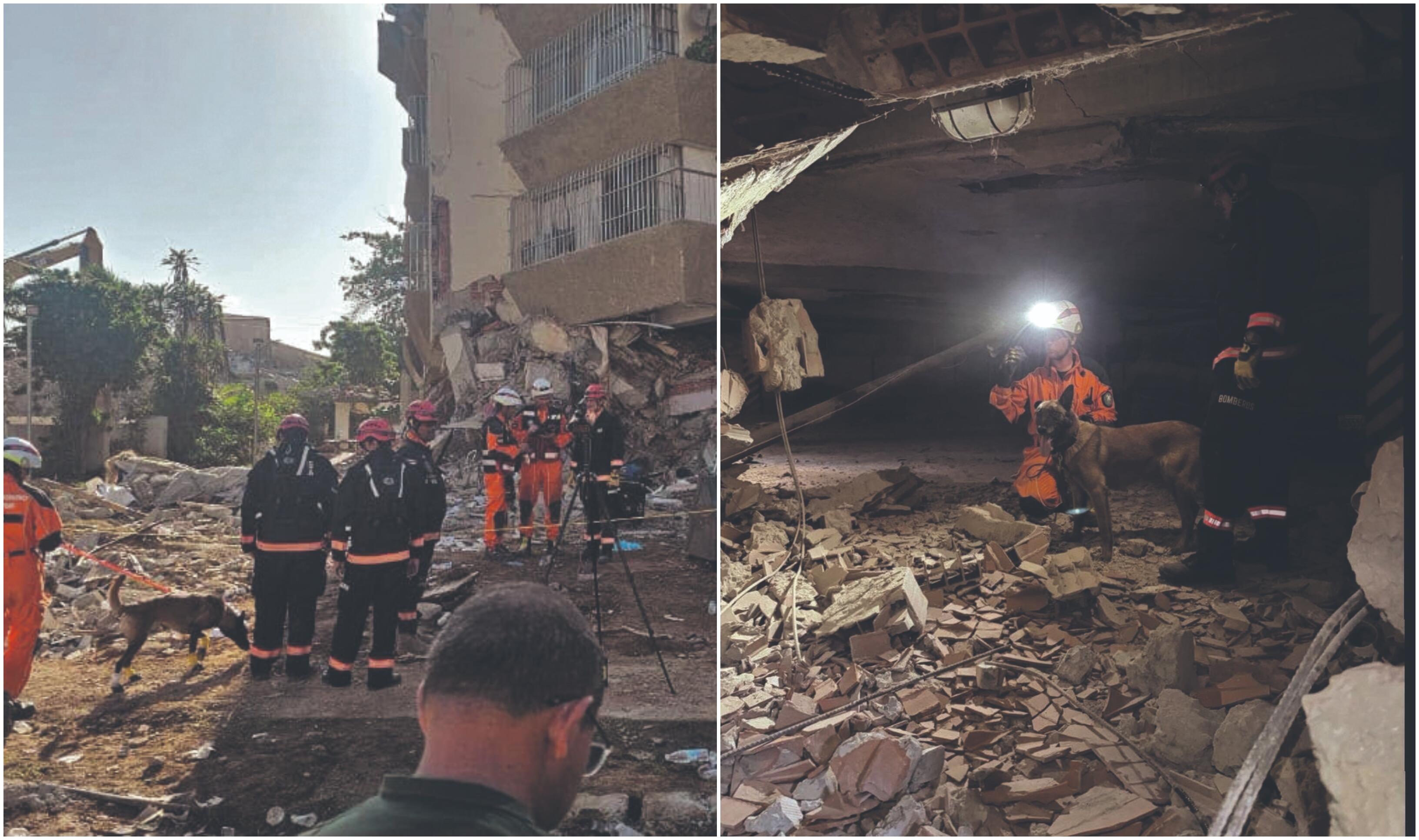 Pagalba: Lietuvos kinologai suskubo padėti tikrą tragediją išgyvenusiai Venesuelai.