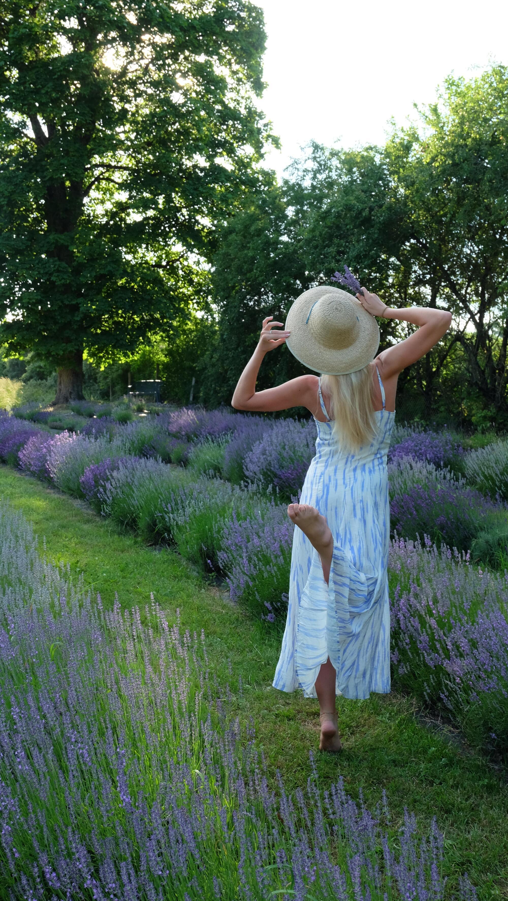 Fotosesija: per patį levandų žydėjimą svečiai gali ir pasifotografuoti, ir pasimėgauti jų aromatu. 