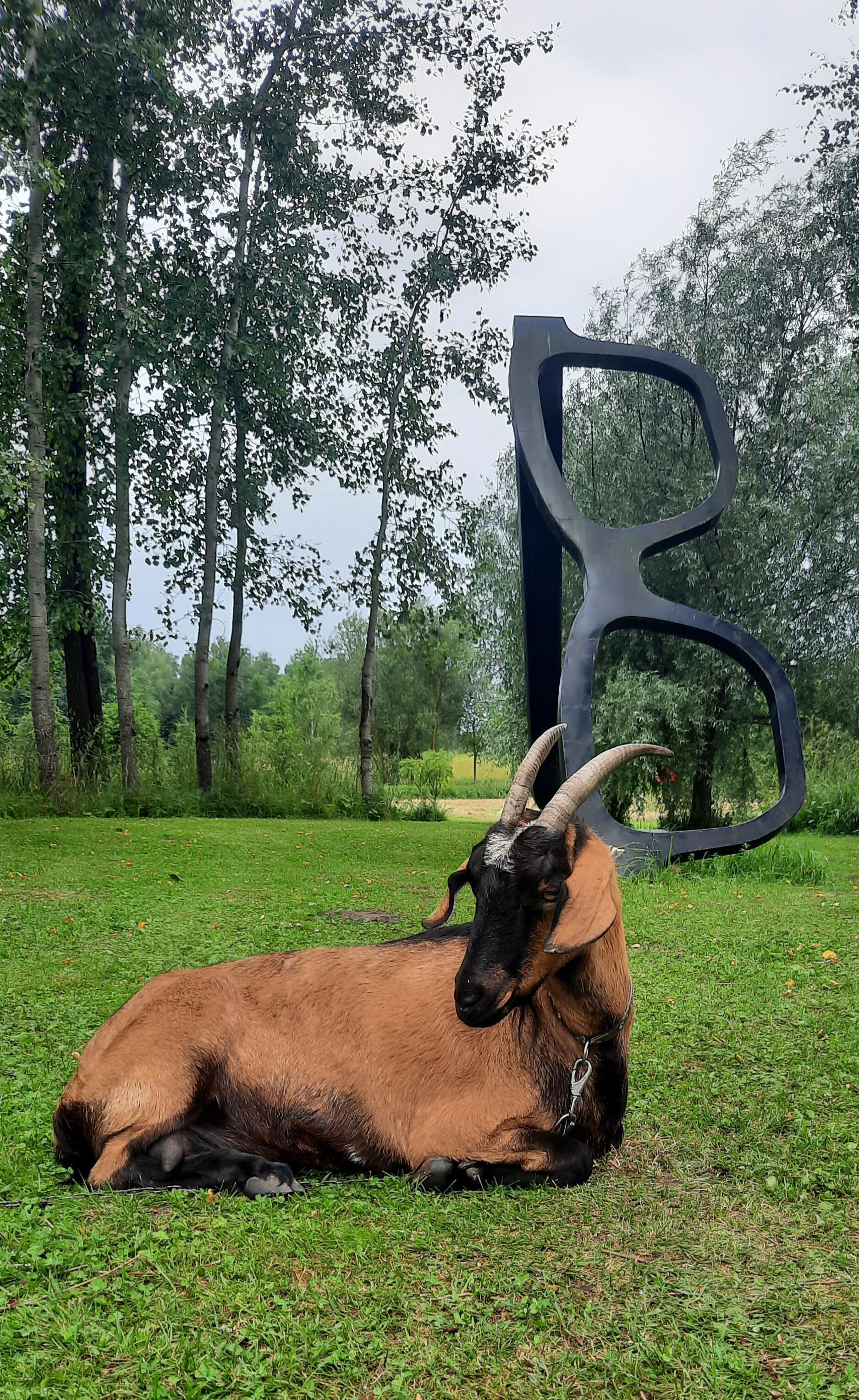 Budri: skulptūrų parko sargė.