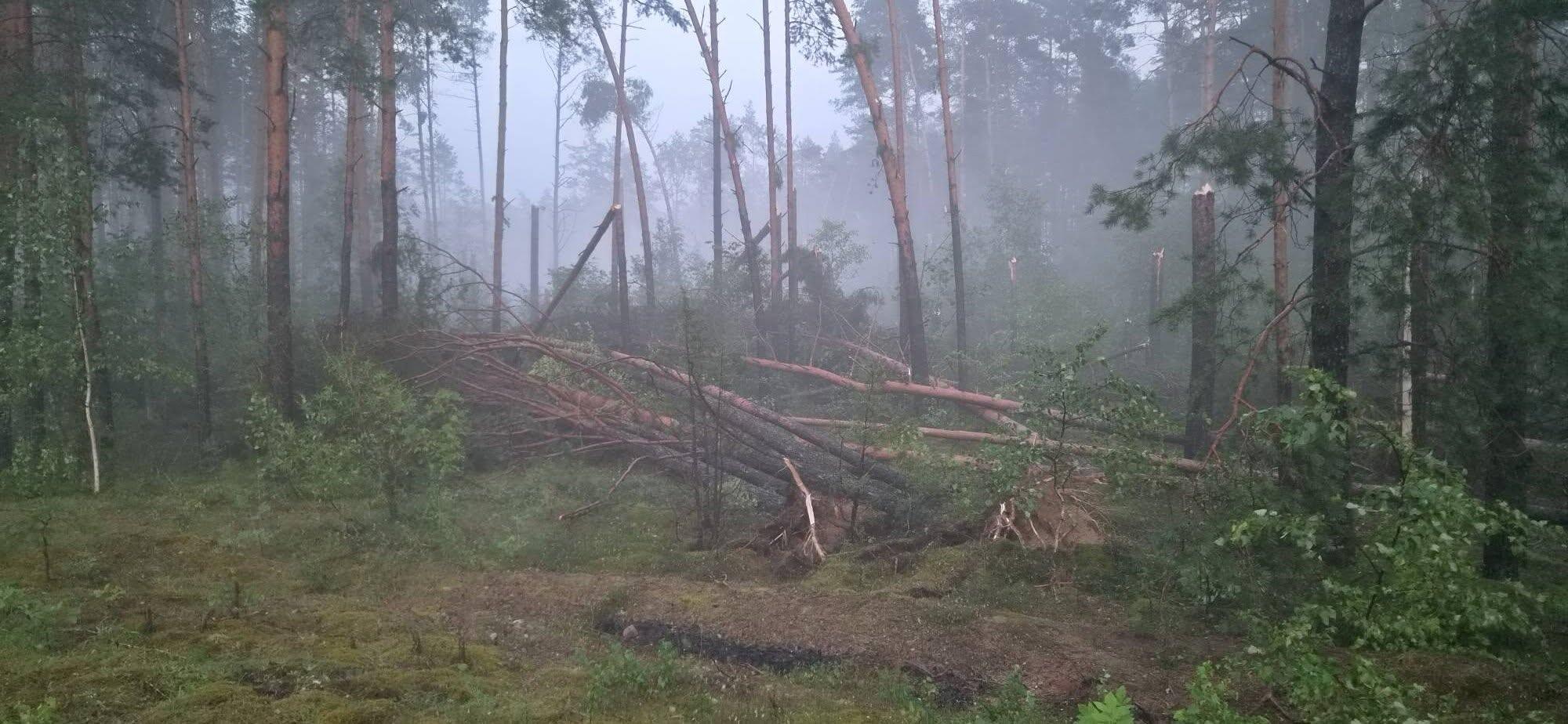 Varėnos rajonas