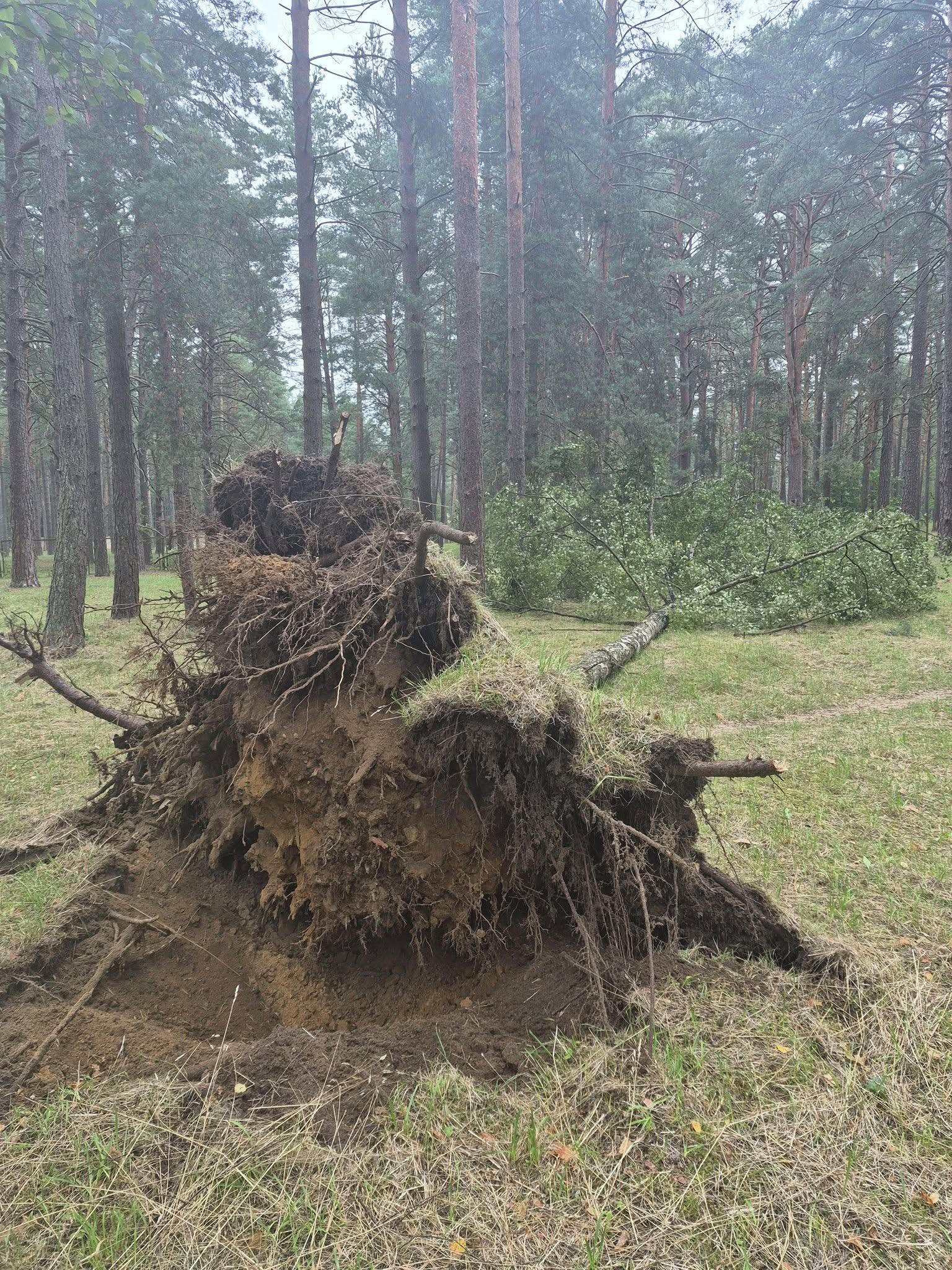 Druskininkai