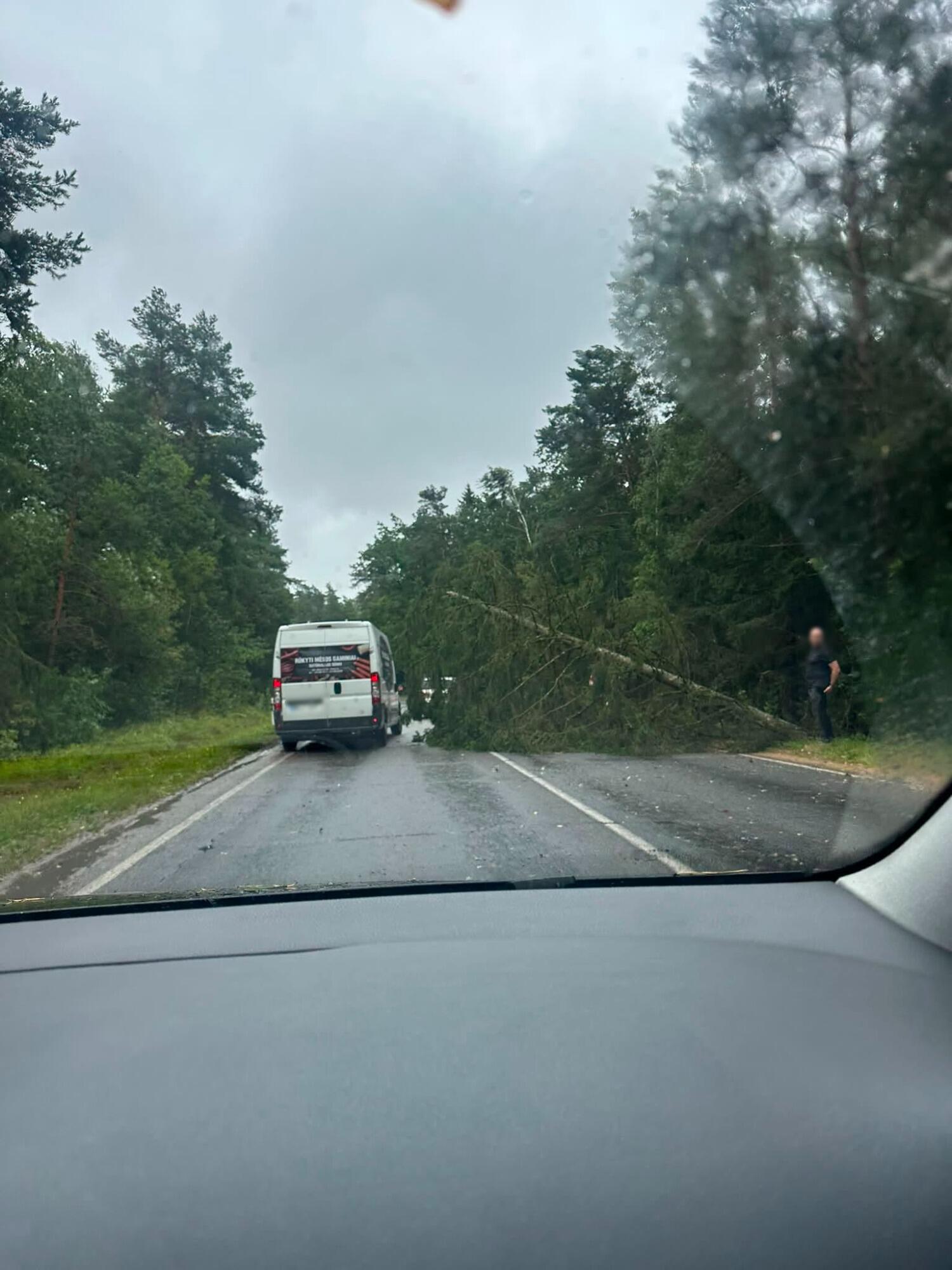 Kulautuvos kryžkelė