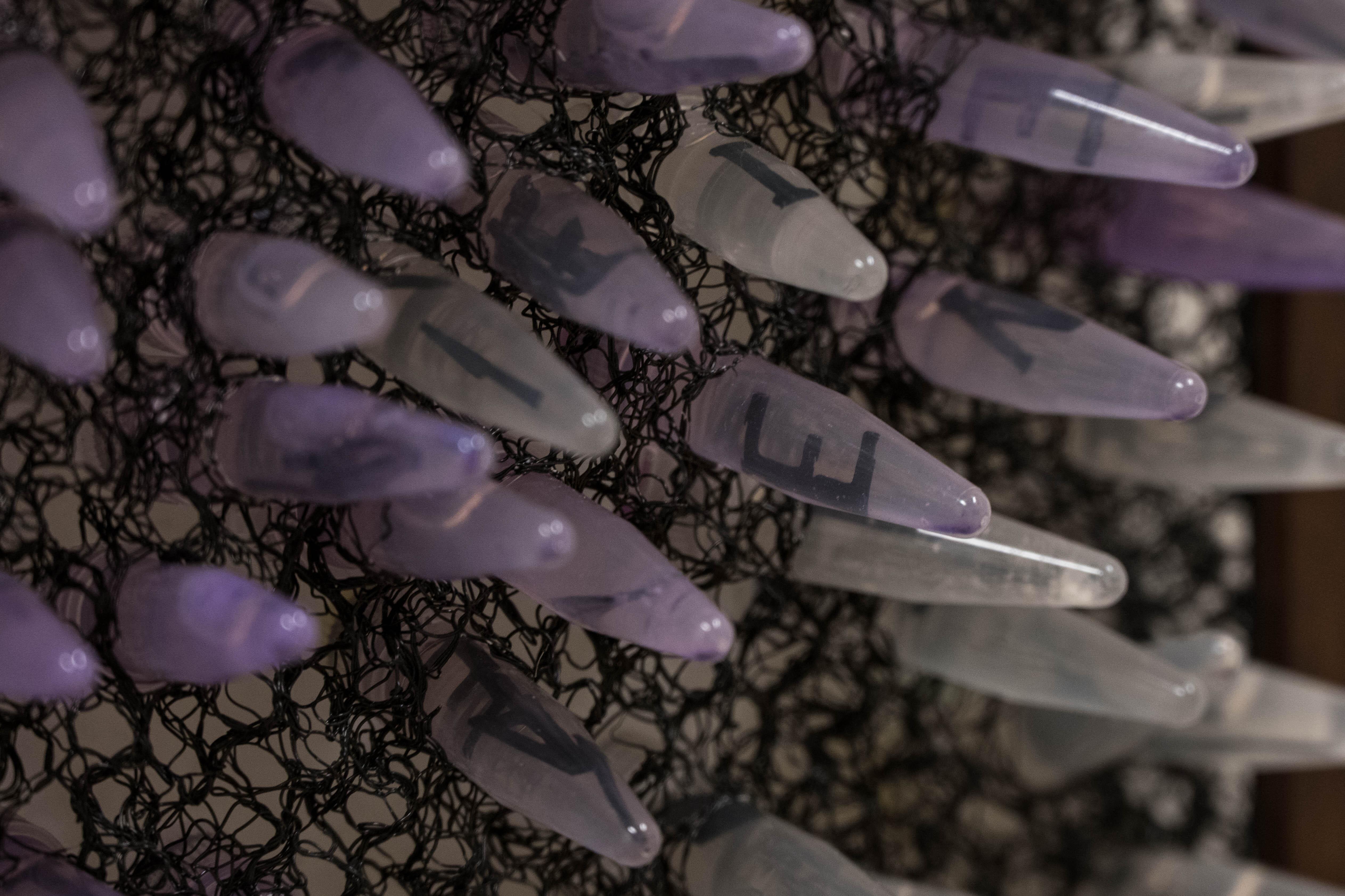Kamilė Lisauskaitė. Virus (fragmentas).