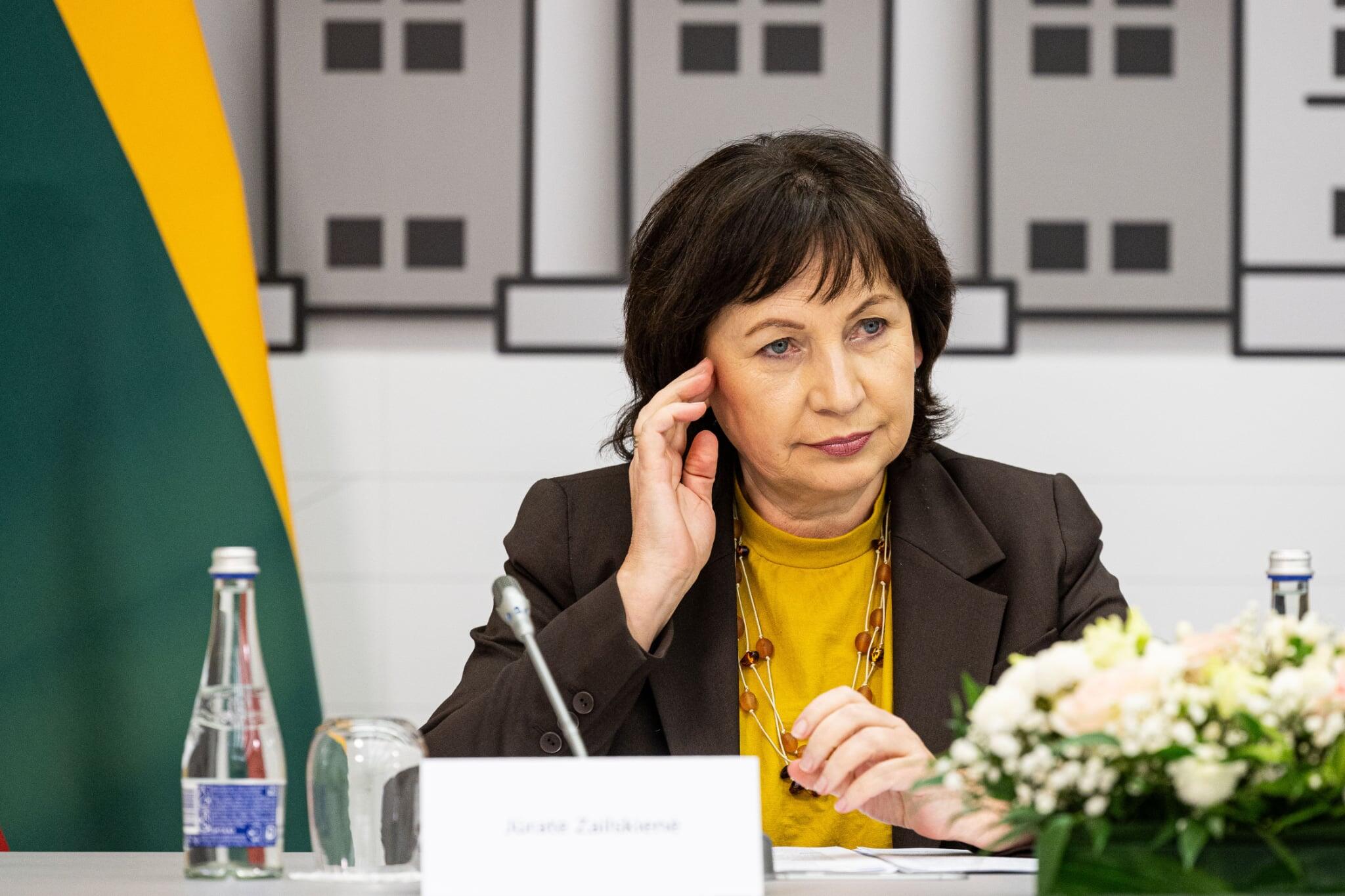 Panašu: J. Zailskienė tokią politinę priemonę kaip partijų susitarimas vertina labai gerai, tačiau, pasak jos, partijų pozicijos šeimos politikos klausimu drastiškai neišsiskiria ir be jo.