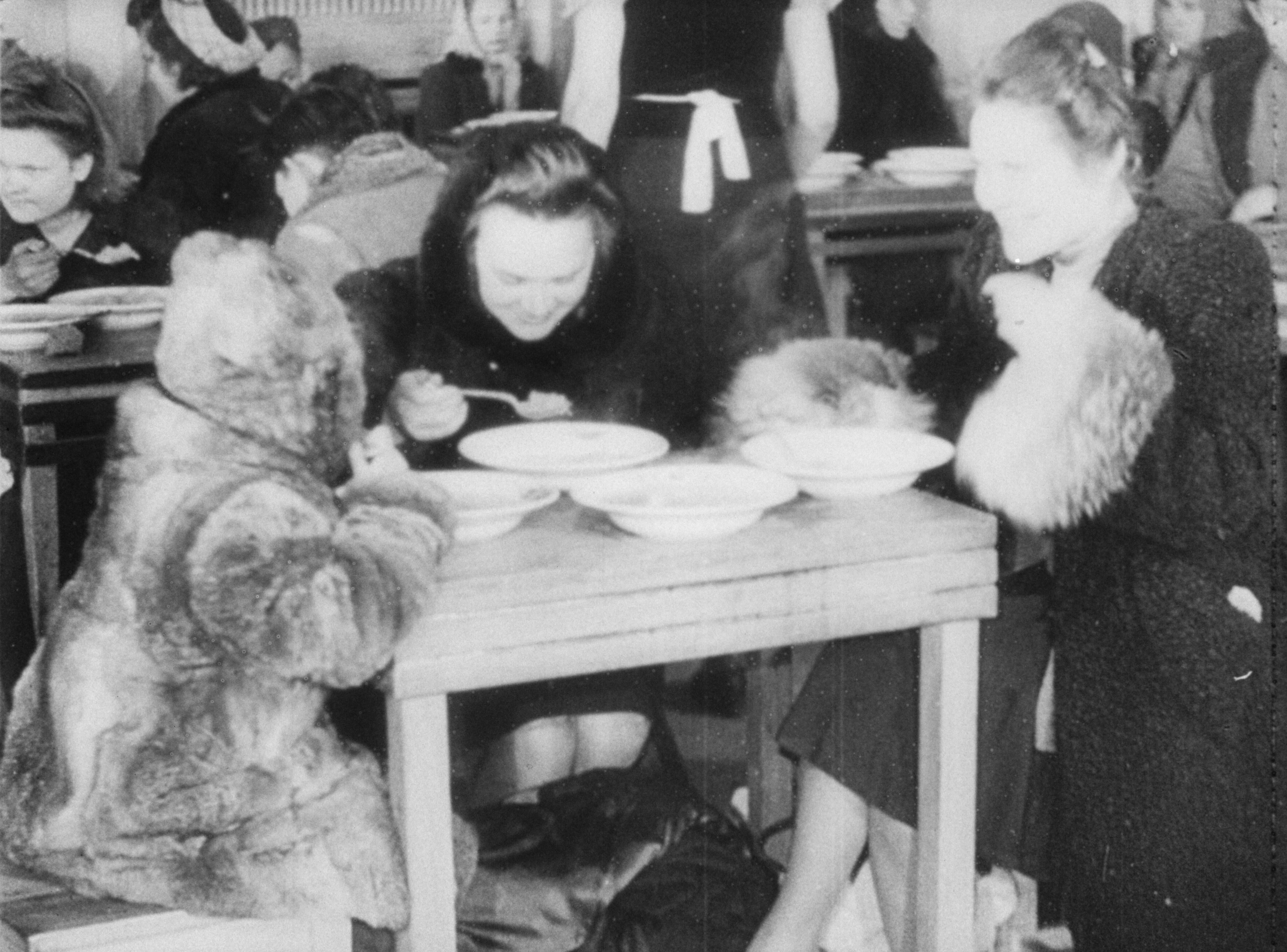 Pagalba: suteikiamas maitinimas nukentėjusiems nuo didžiojo Kauno potvynio. 1946 m. Stop kadras iš filmo „Kauno potvynis“. E-kinas.lt.