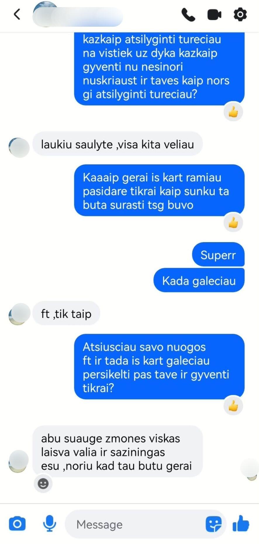 Nepatikima: pokalbio ekrano nuotraukose matyti padrikos, klaidų pilnos žinutės ir vis asmeniškesni klausimai nuomojamo ploto ieškančioms merginoms.