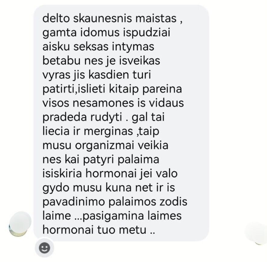 Nepatikima: pokalbio ekrano nuotraukose matyti padrikos, klaidų pilnos žinutės ir vis asmeniškesni klausimai nuomojamo ploto ieškančioms merginoms.