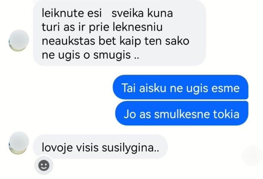 Nepatikima: pokalbio ekrano nuotraukose matyti padrikos, klaidų pilnos žinutės ir vis asmeniškesni klausimai nuomojamo ploto ieškančioms merginoms.