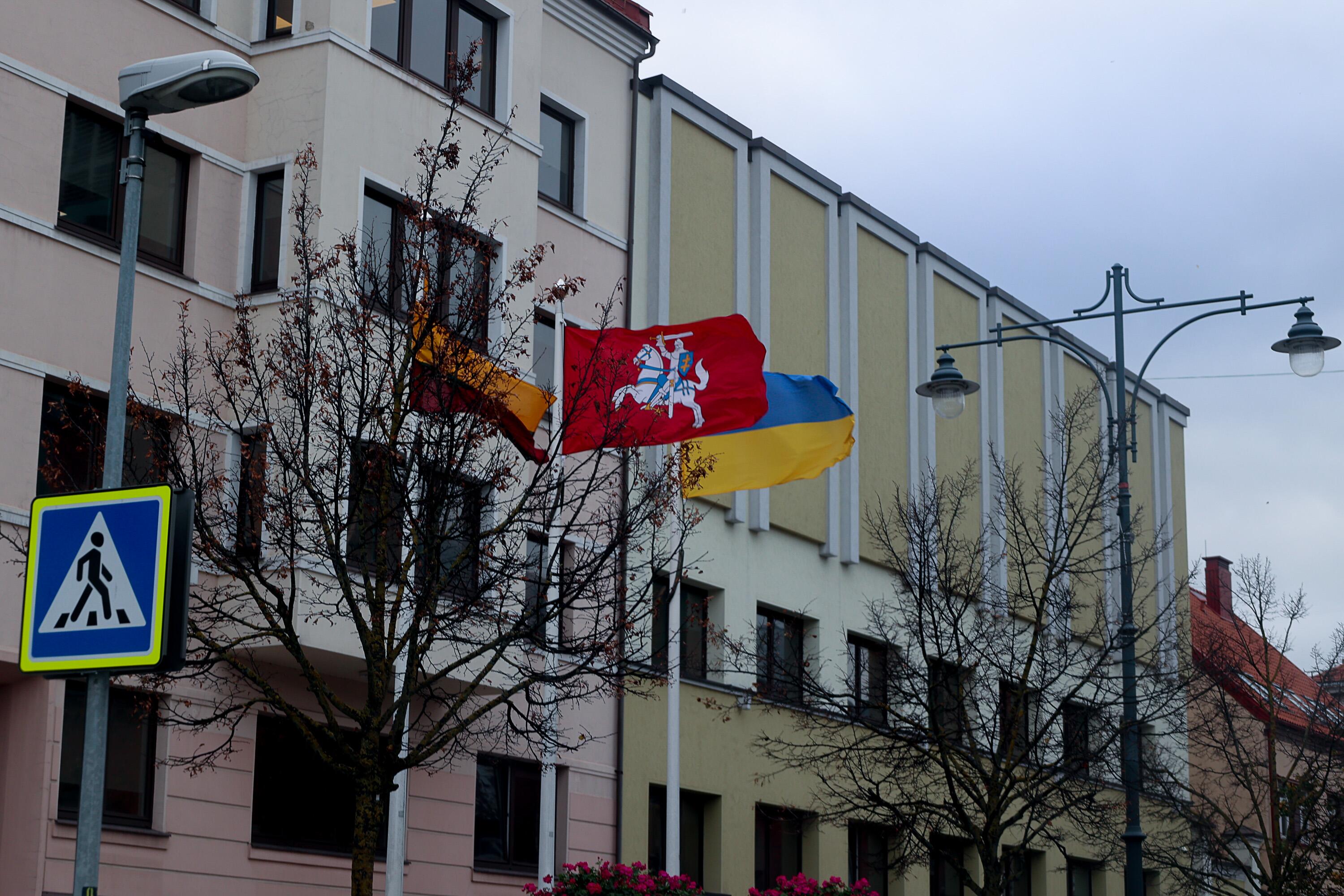 Prieigos: Liepų gatvės pradžioje pasitinka trys aukštai iškeltos vėliavos – Lietuvos, Ukrainos ir Europos Sąjungos.