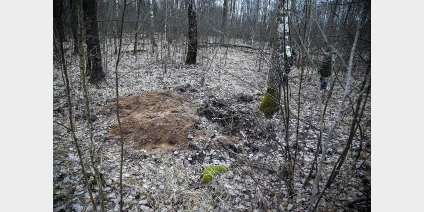 Vieta, kur buvo užkasta I. Strazdauskaitė