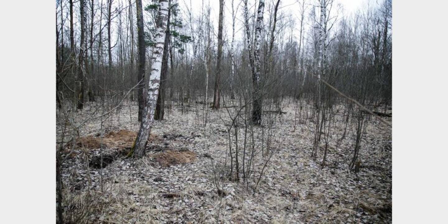 Vieta, kur buvo užkasta I. Strazdauskaitė