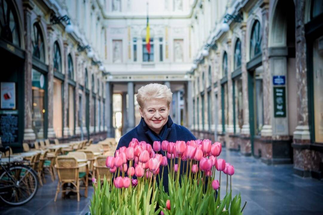 8-ųjų D. Grybauskaitės prezidentavimo metų akimirkos