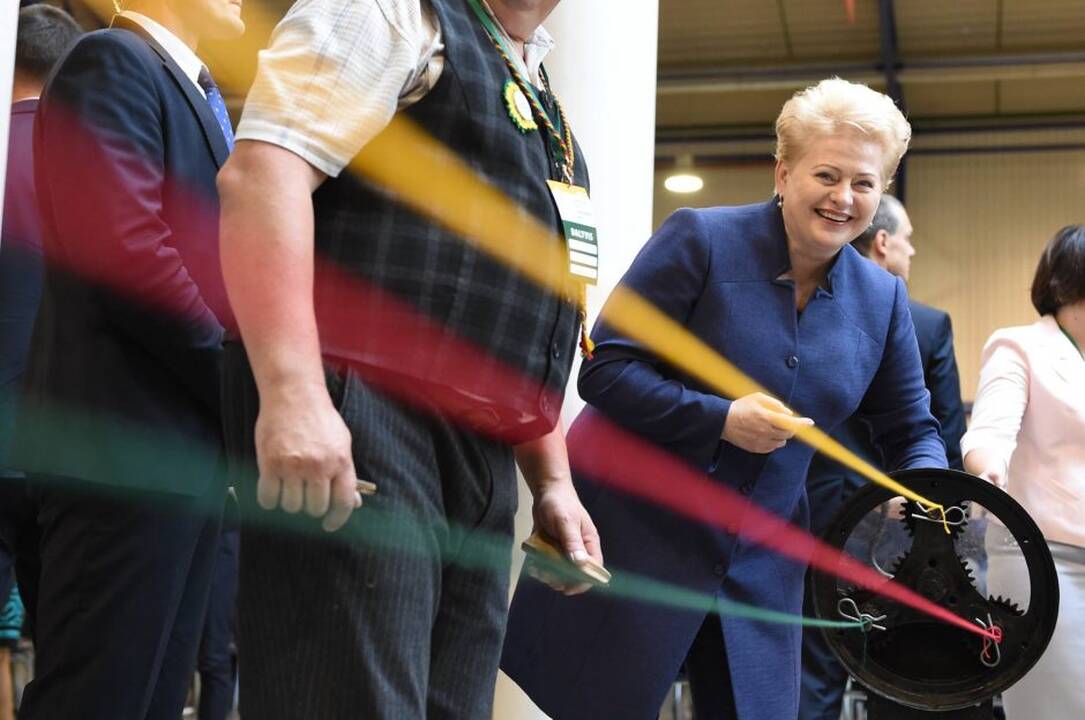 8-ųjų D. Grybauskaitės prezidentavimo metų akimirkos