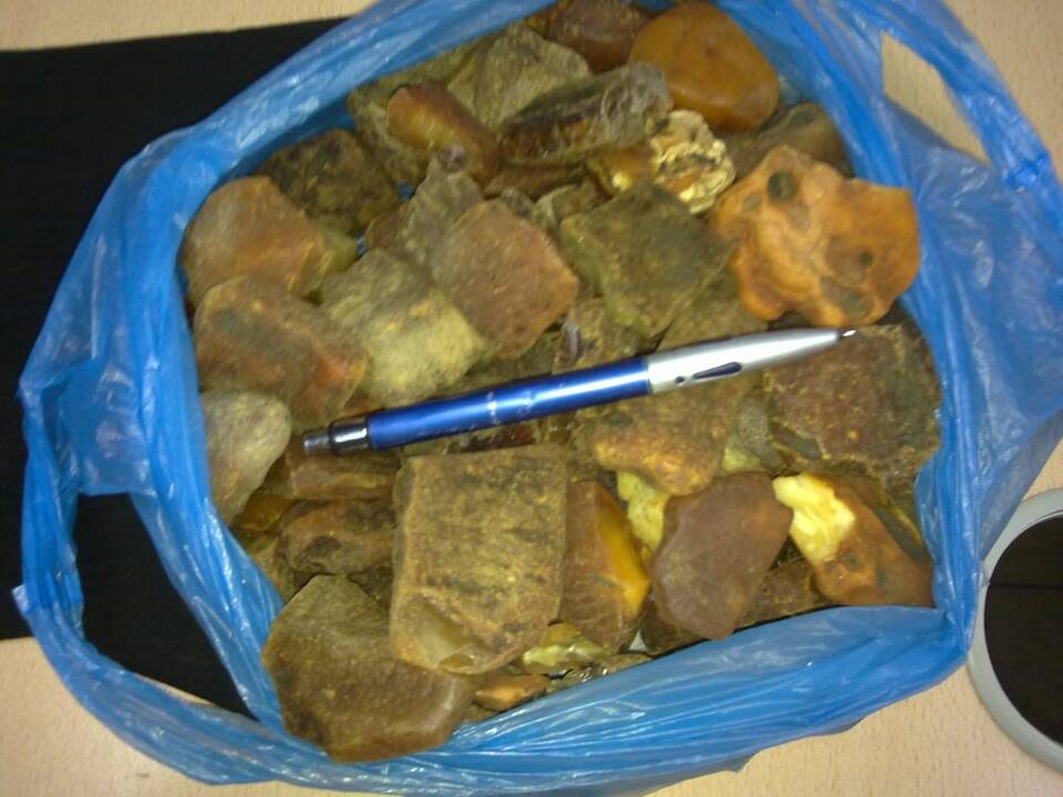 Sulaikyta nelegaliai gabenta gintaro žaliava
