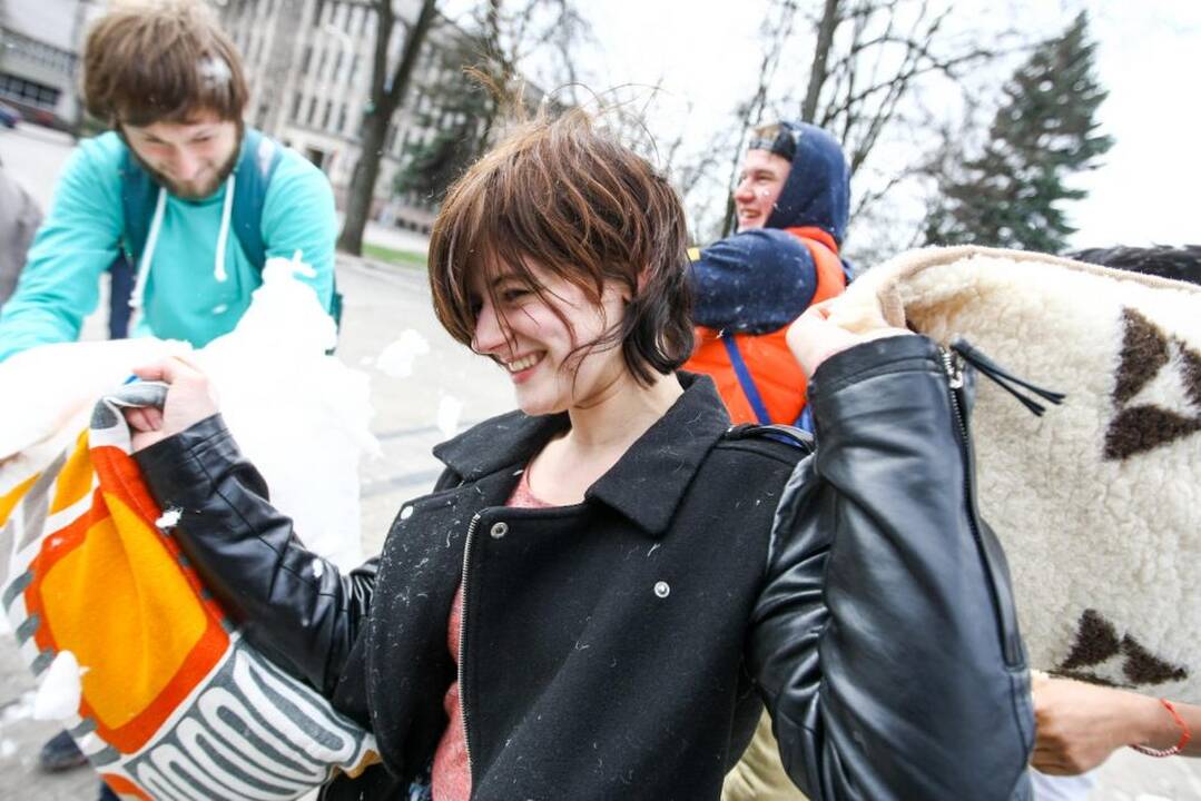 Pagalvių mūšis