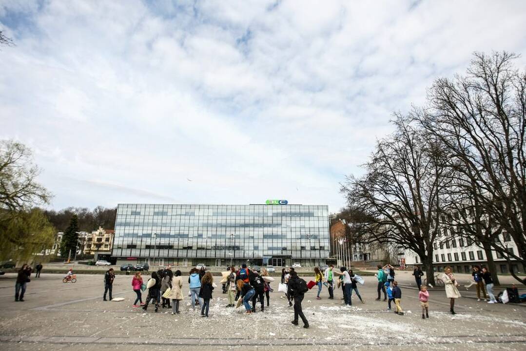 Pagalvių mūšis