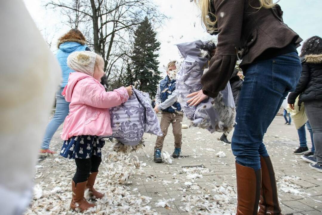 Pagalvių mūšis