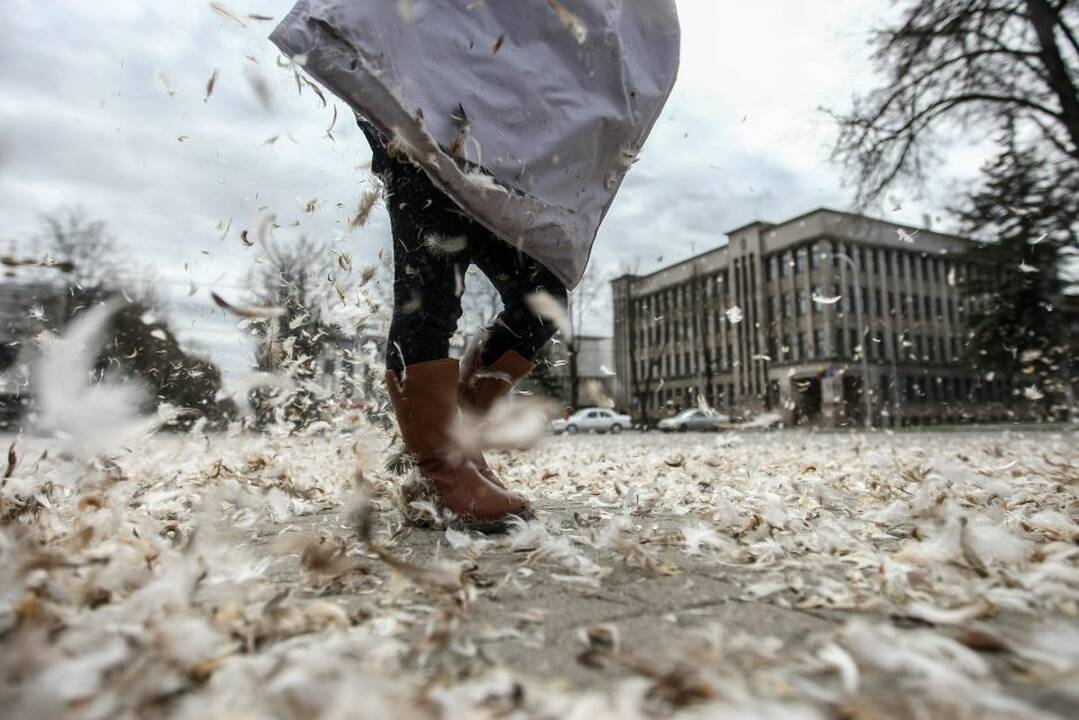 Pagalvių mūšis