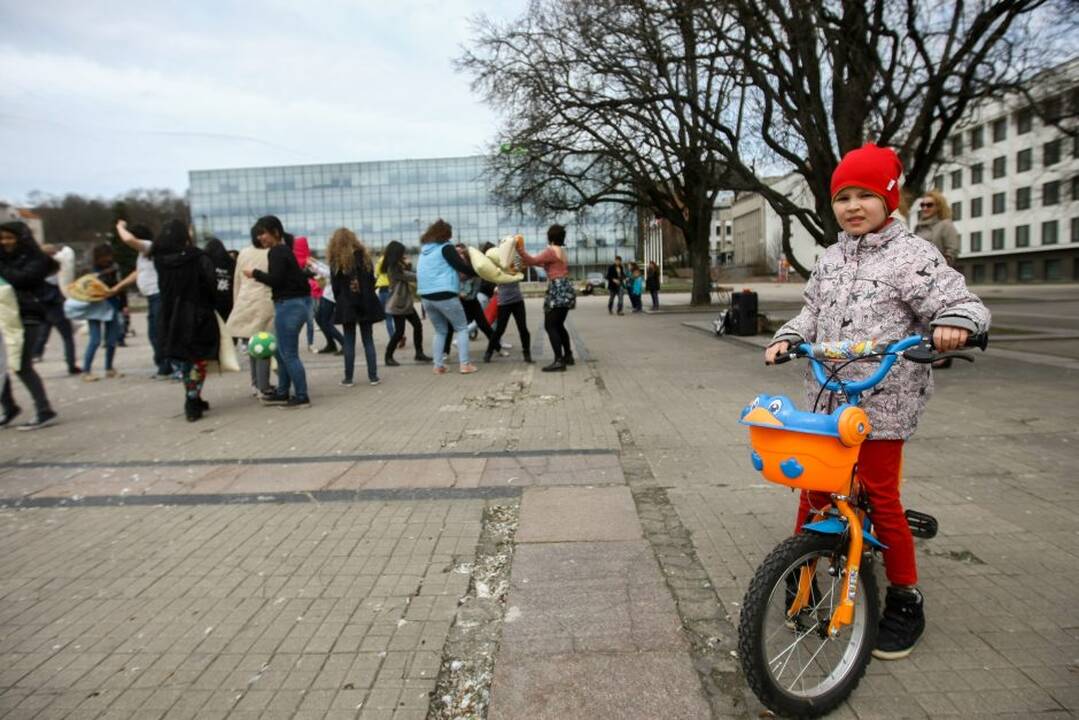 Pagalvių mūšis