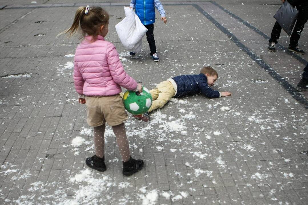 Pagalvių mūšis