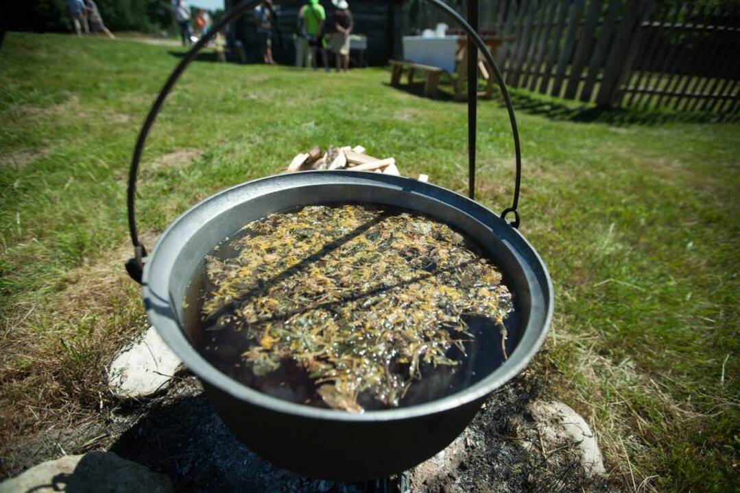 Joninės Rumšiškėse