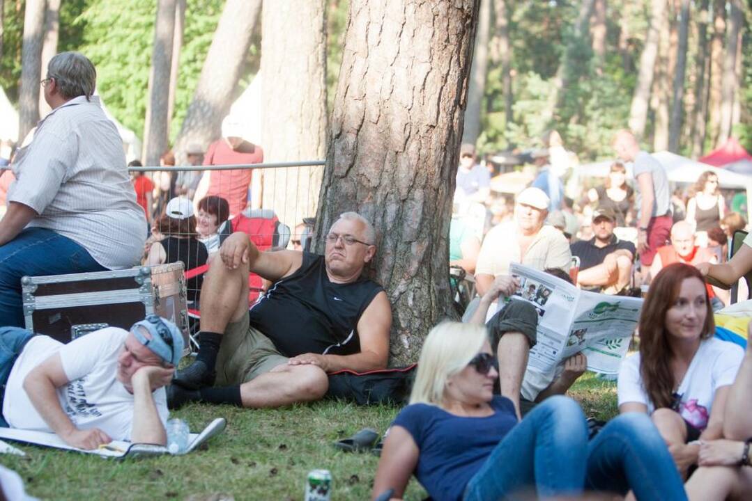 Festivalis
