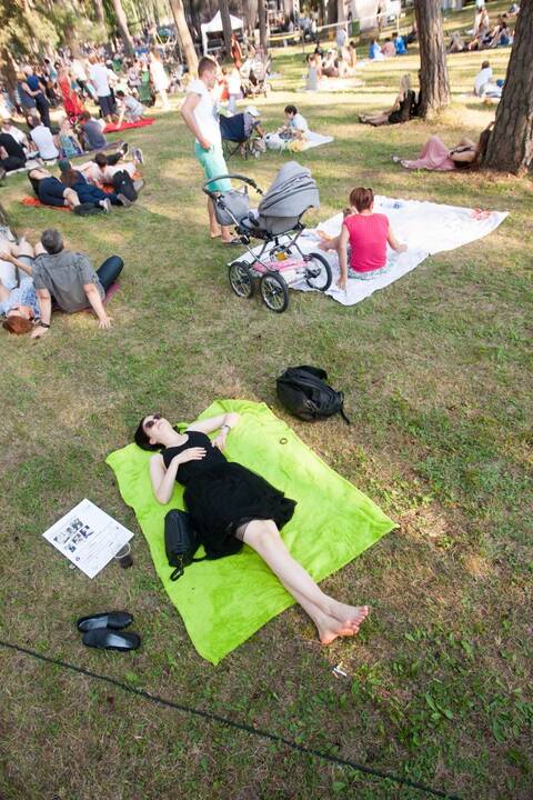 Festivalis