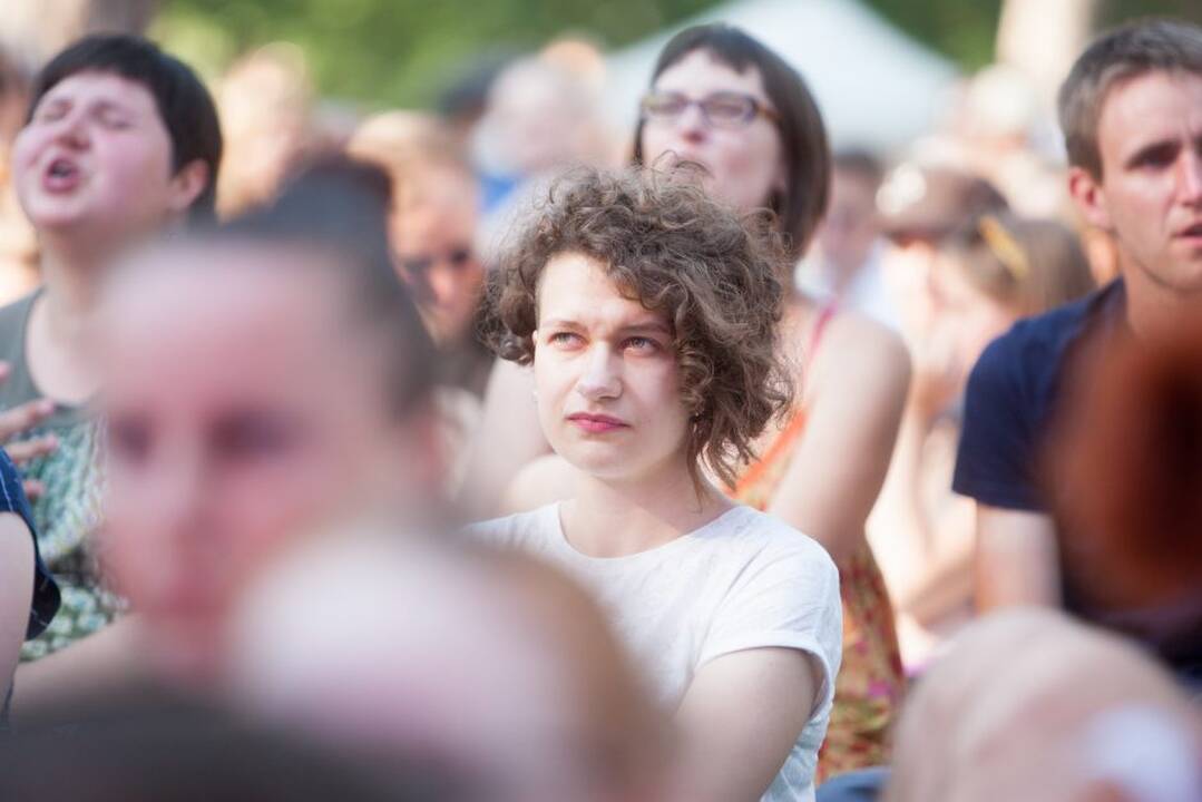 Festivalis