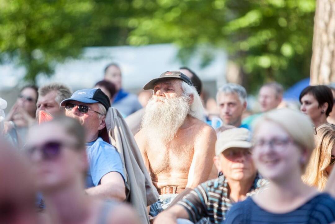 Festivalis