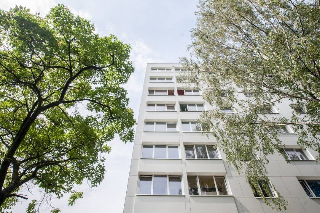 Renovuotas devinbutis