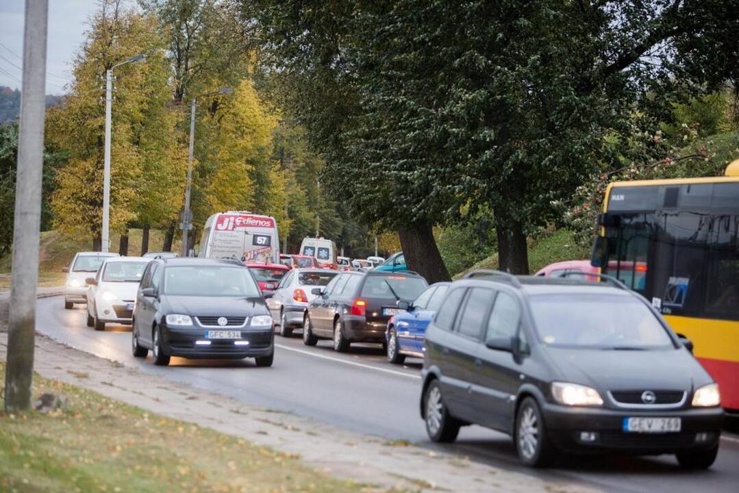 Nulūžęs medis suniokojo automobilį