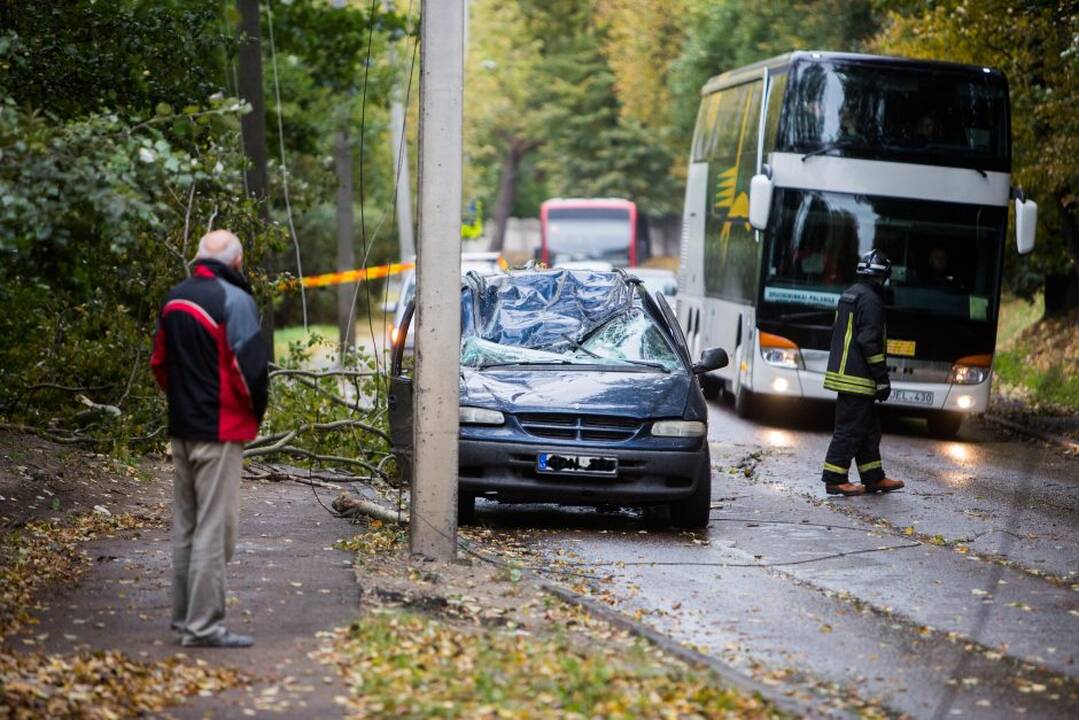 Nulūžęs medis suniokojo automobilį