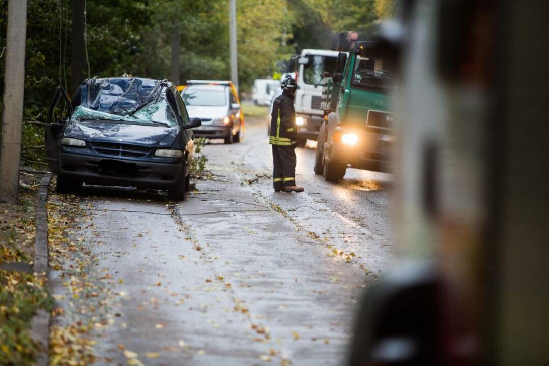 Nulūžęs medis suniokojo automobilį