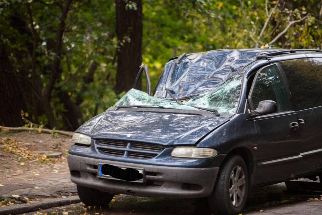 Nulūžęs medis suniokojo automobilį