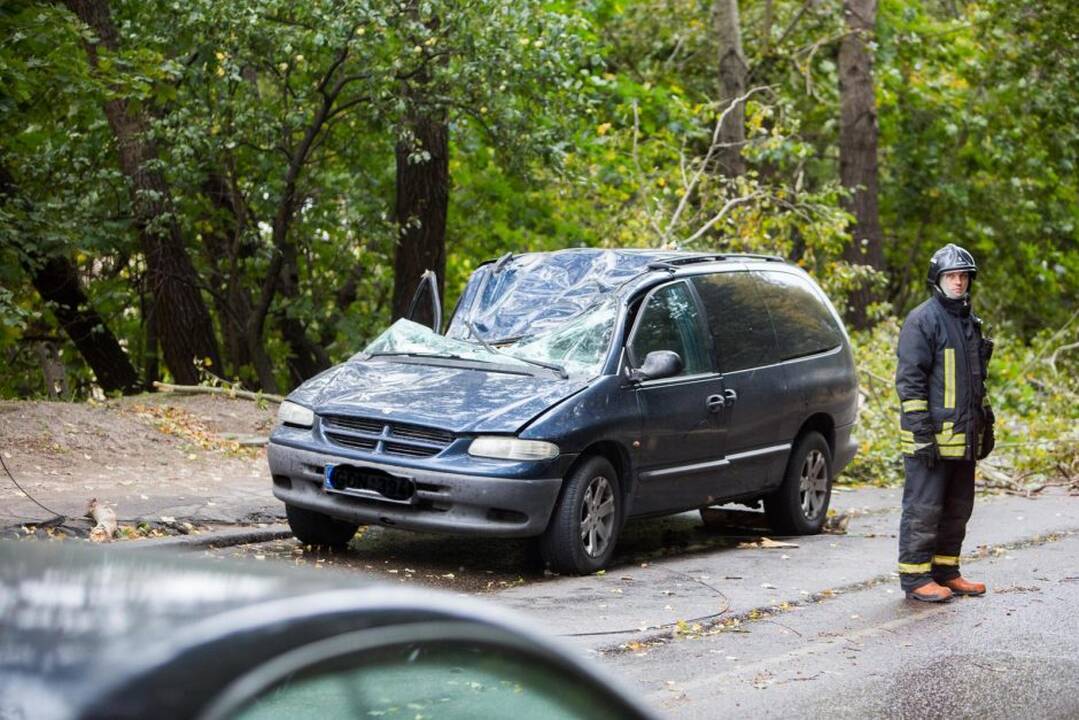 Nulūžęs medis suniokojo automobilį