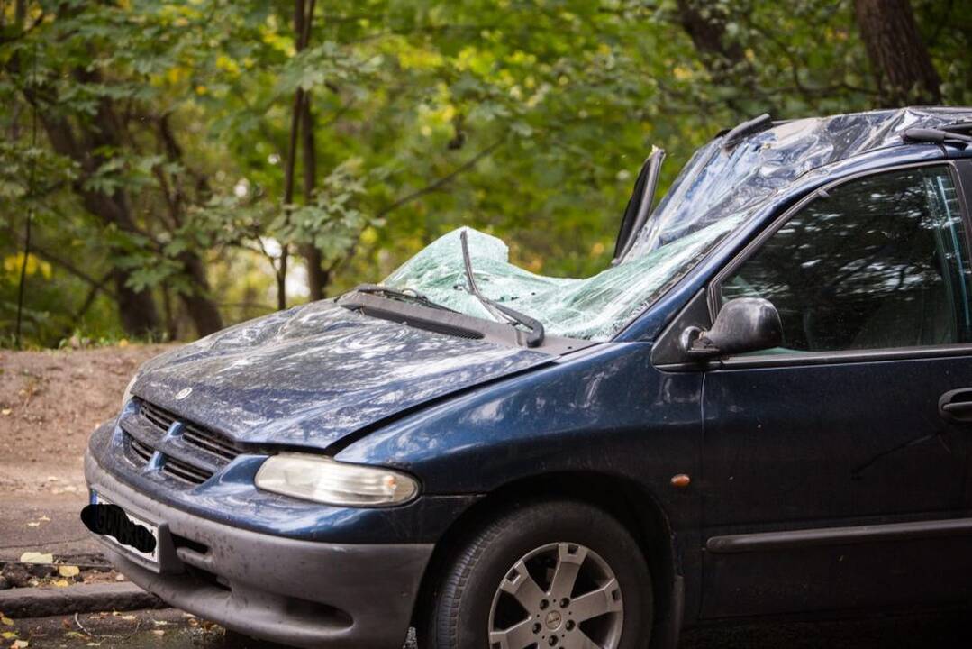 Nulūžęs medis suniokojo automobilį