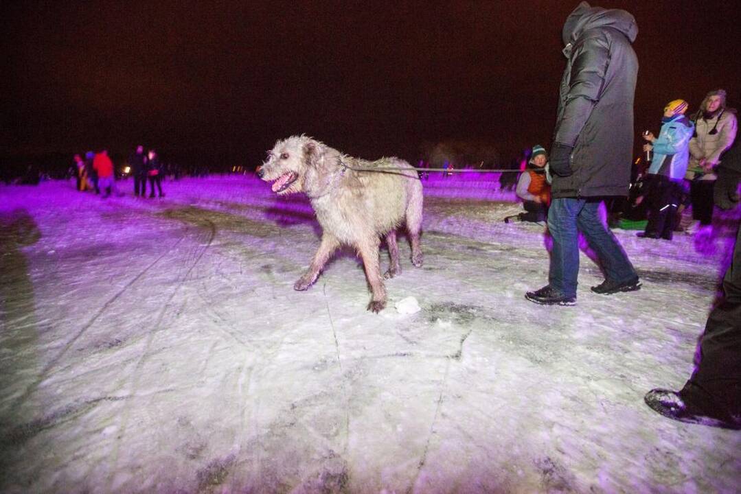 Diskoteka ant Lampėdžio