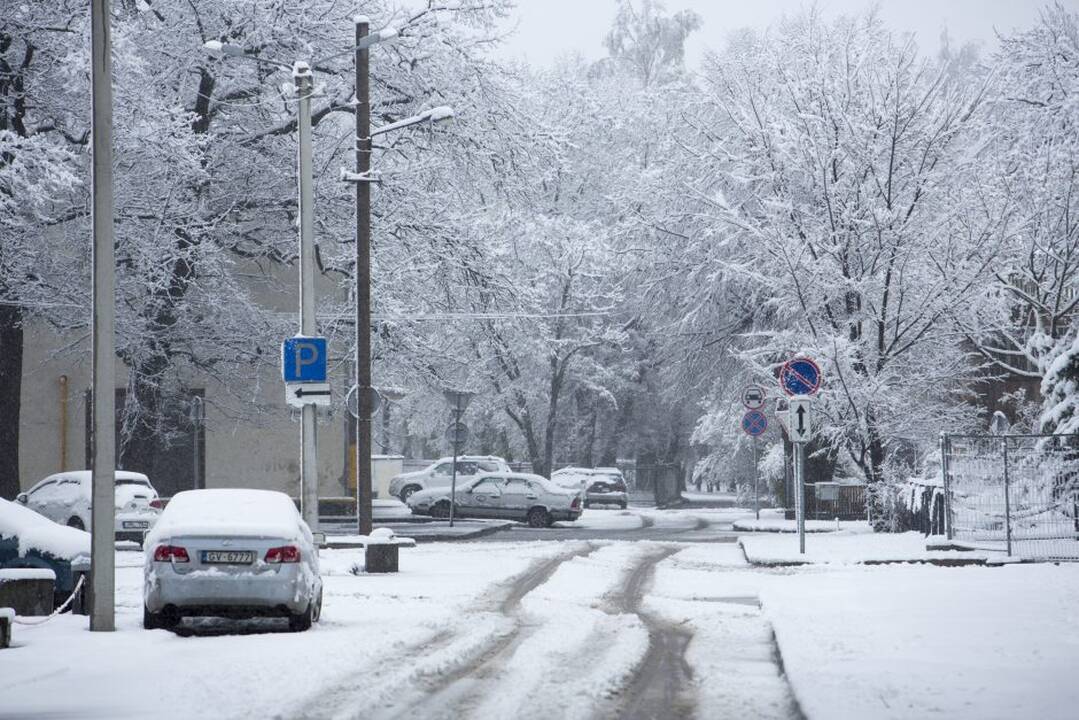 Grįžo žiema